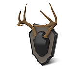 Image of Hunters Specialties Antler Skull Cap Mount