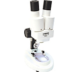 Image of Konus 20x32x Steroscopical LED Microscope Amber