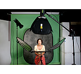 Image of Lastolite Gold/White Reflector Panels For Trilite