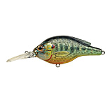Image of Live Target Pumpkinseed FS Roundbill,metallic/gloss,4 PS70M102