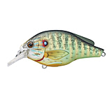 Image of Live Target Pumpkinseed FS Squarebill,natural/matte,6 PSS60S100