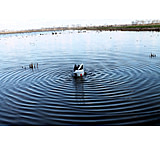 Image of Mojo Butt Up Rippler