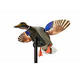 Image of Mojo Elite Series Mini Mallard Drake Decoy