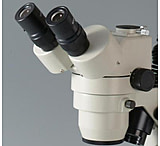 Image of Motic Instruments Head Only SMZ-168-TH PX68.000.001