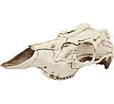 Image of Mountain Mike's Natural Causes Skull Master w/Positioner