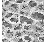 Image of Pall Nylaflo Membrane Disc Filters, Pall Life Sciences 66610, Pack of 25