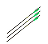 Image of Allen Xd300 Crossbow Bolt, 3 Pack