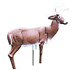Image of Rinehart Buck Decoy