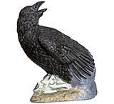 Image of Rinehart Raven Target