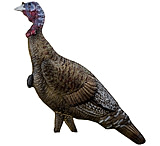 Image of Rinehart Turkey Decoy Jake