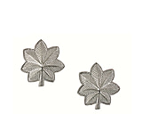 Image of Rothco Lieutenant Colonel Insignia