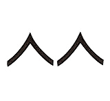 Image of Rothco Private Insignia