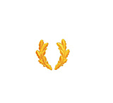 Image of Rothco Scrambled Eggs Military Patch