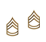 Image of Rothco Sergeant First Class Polished Insignia Pin