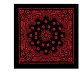 Image of Rothco Trainmen Bandana