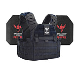 Image of Shellback Tactical Banshee Elite 2.0 Level III Steel Plates Armor Kit