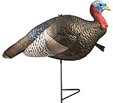 Image of The Grind Outdoors Strut Jake Decoy