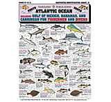 Image of Tightlines Fish Identification Charts