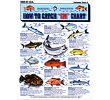 Image of Tightlines How To Catch Em Charts