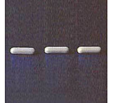 Image of VWR Spinbar Micro Stir Bars 371195001