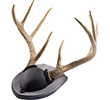 Image of Walnut Hollow Antler Mount Kit