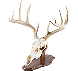 Image of Walnut Hollow Euro Mount Kit 1302348