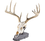 Image of Walnut Hollow Euro Mount Kit 1302349