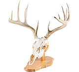 Image of Walnut Hollow Euro Mount Kit 1302350