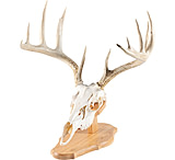 Image of Walnut Hollow Euro Mount Kit