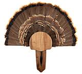 Image of Walnut Hollow Turkey Mount Kit 1302338