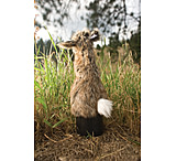 Image of Western Rivers Deceptor Rabbit Decoy
