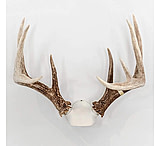 Image of Wicked North Gear The Change Up Antler Display Kit