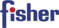 Fisher Security 2019 Logo