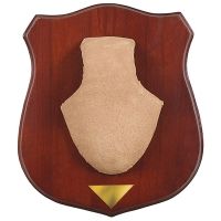 Allen Deluxe Horn Mounting Kit With 2 Skull Covers 5612