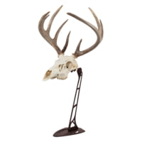 Allen EZ Mount Centerpiece Skull Stand