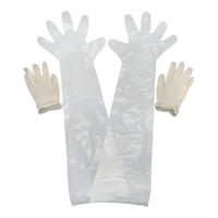 Allen Field Dressing Gloves, 12 Pack