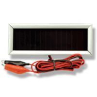 American Hunter Economy 6V Solar Charger