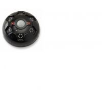 American Hunter Swine Shine Hog Light