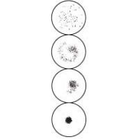 Arlington RPR Test Cards and Pipets, ASI 987010 10-Well Cards