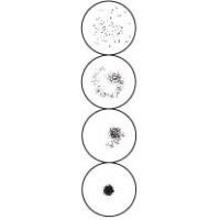 Arlington RPR Test Cards and Pipets, ASI 987030 30-Well Cards