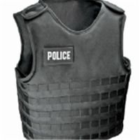 Armor Express Ocs F 1inch Molle Webbing - Rng; Female