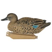 Avery Outdoors PG FFD Elite Blue-Winged Teal