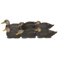 Avery Outdoors PG XD Series Black Ducks-Harvester Pack, 1/2 dozen