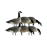 Avian X AXP Lesser Fusion Decoy - Pack