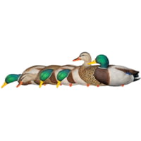 Avian X Fusion Pack APX Mallard Decoy