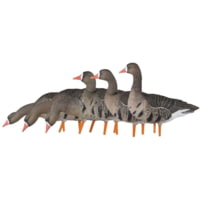 Avian X Fusion Pack AXF Specklebelly