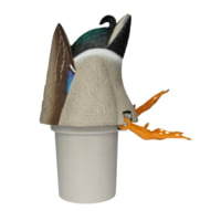 Avian X Power Butt Kicker Mallard Drake 2 Pack