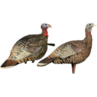 Avian X Rio Lookout Jake/Hen Combo