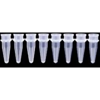 Axygen PCR Tube Strips and Cap Strips, Axygen Scientific PCR-0208-O Strips Of Eight Tubes