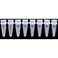 Axygen PCR Tube Strips and Cap Strips, Axygen Scientific PCR-0208CPC Strips Of Eight Tubes And Caps